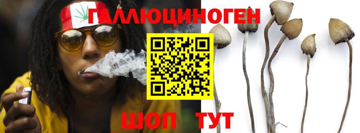 Псилоцибиновые грибы Psilocybe Верхняя Салда